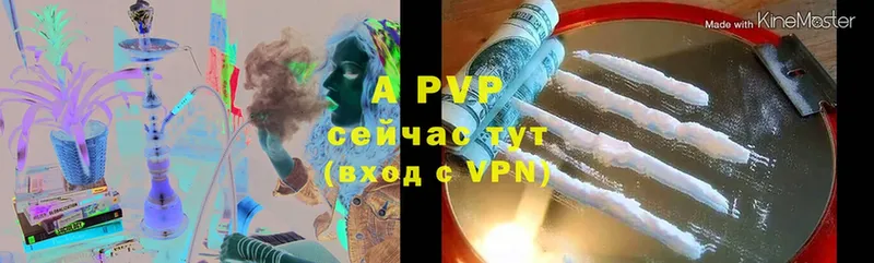 A-PVP СК Ардатов